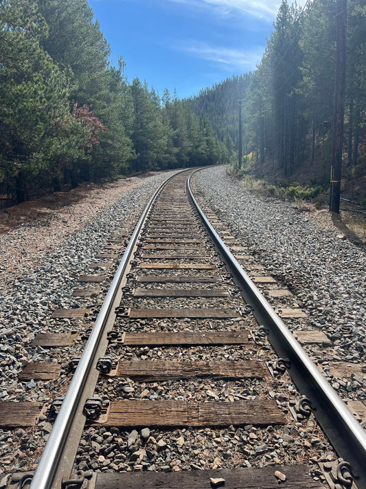 Entrepreneur Fails: First-Class Tickets on the Train to Nowhere (or So It Feels)