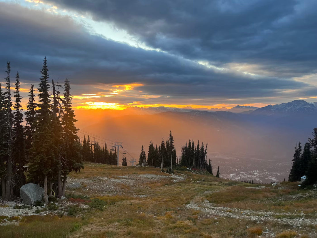 The Role of Mindfulness in Entrepreneurial Success